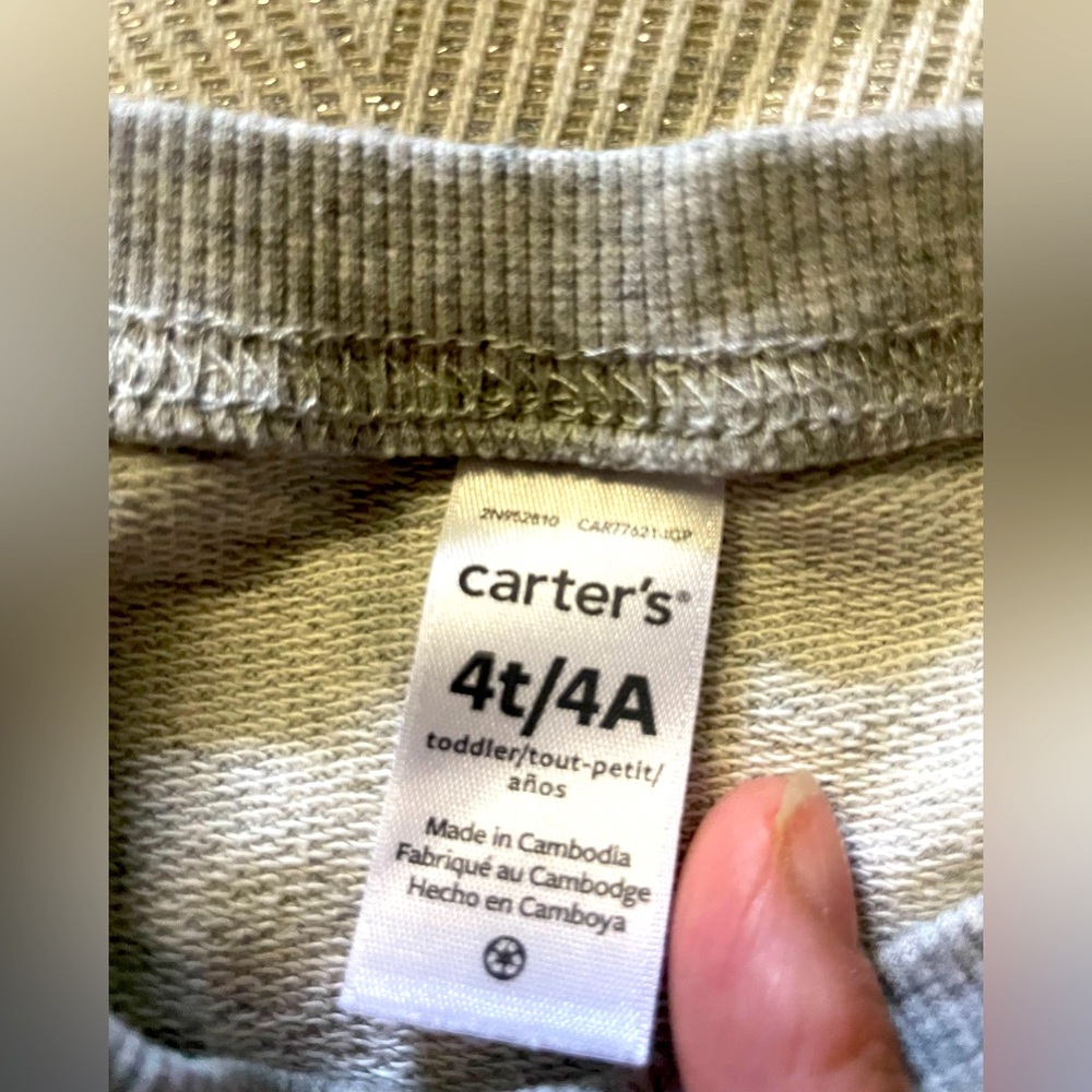 Carter’s Racoon Sweatshirt Set, Size 4T - Picture 4 of 4